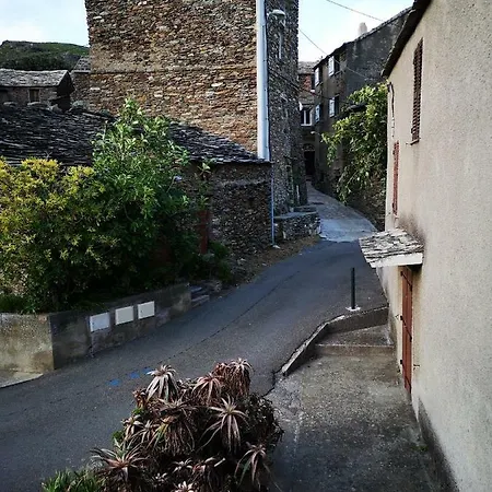 Maison De Village A 2 Km De La Mer Cap Corse 15 Kms Bastia * Sisco