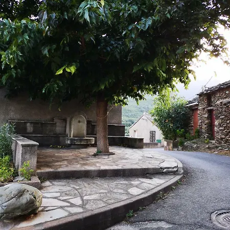 Maison De Village A 2 Km De La Mer Cap Corse 15 Kms Bastia